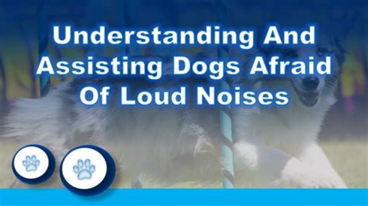 What does it mean when your afraid of loud noises?