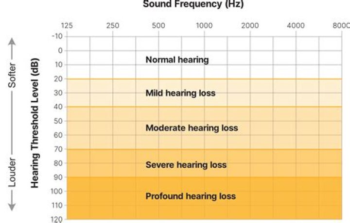 What does moderate to severe hearing loss mean?