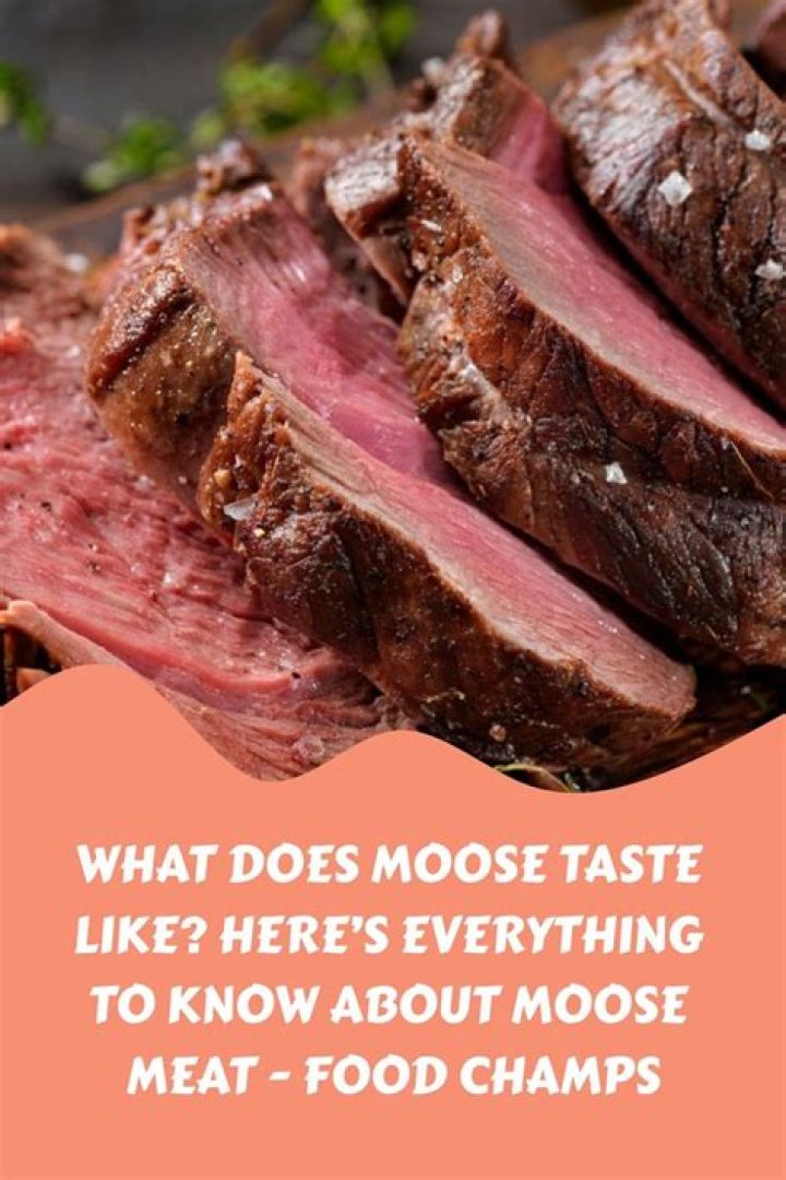 What does moose nose taste like?