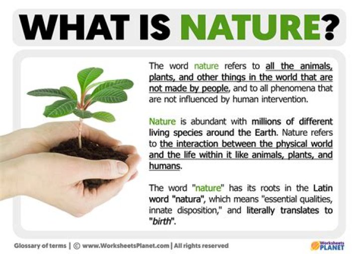 What does natural world mean