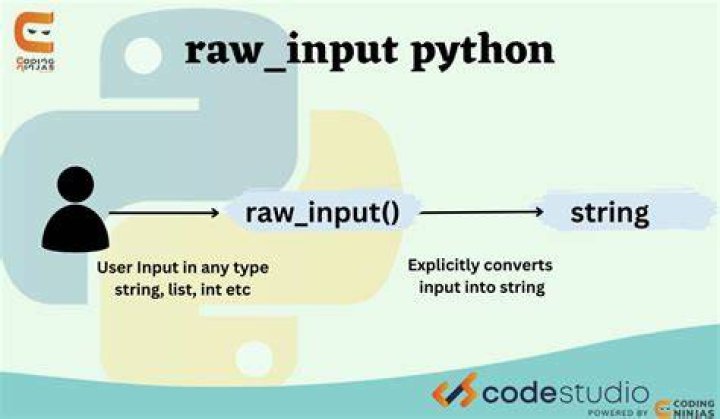 What does Python's Raw_input do?