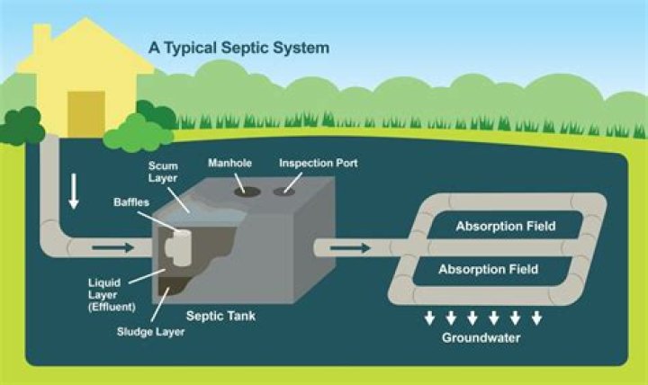 What does Ridex do for a septic system