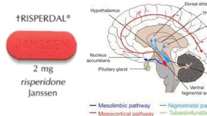 What does Risperdal do to the brain?