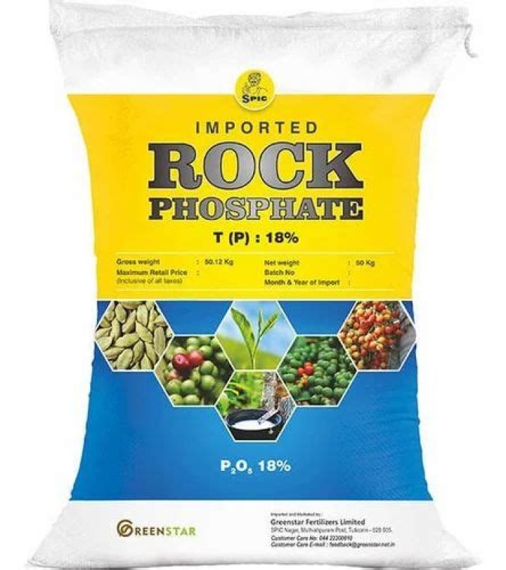 What does rock phosphate do for plants?