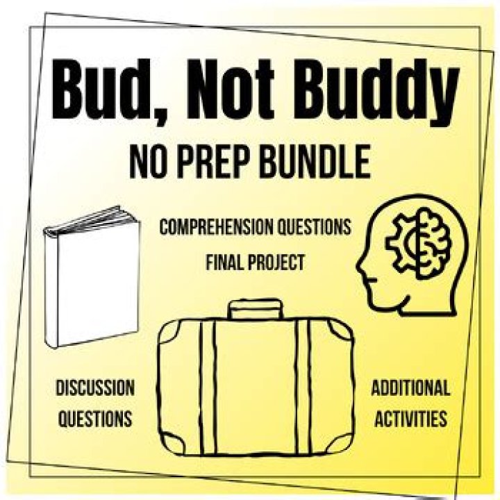 What does rule 29 mean in Bud Not Buddy