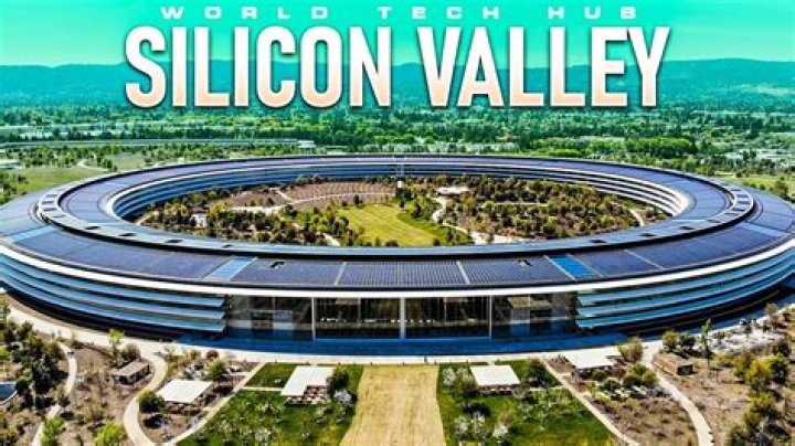 What does Silicon Valley do?