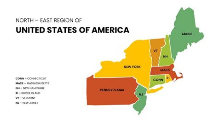 What does the northeast region produce?