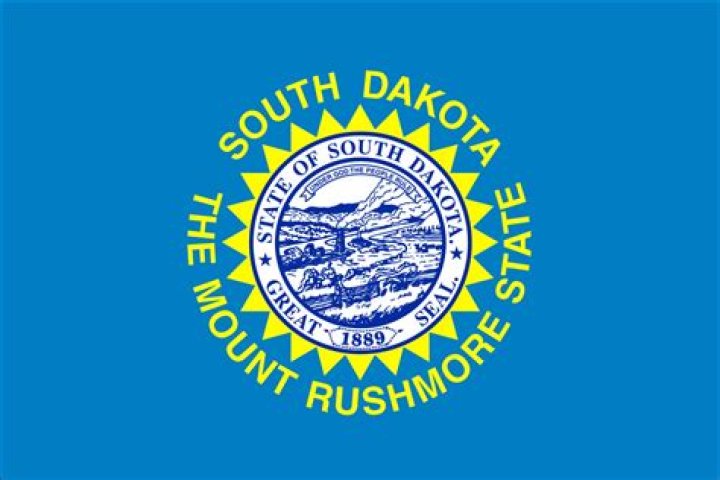 What does the South Dakota state flag look like