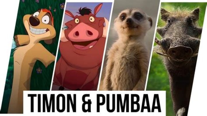 What does Timon and Pumbaa eat?