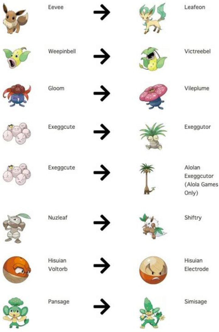 What evolves with a leaf stone?