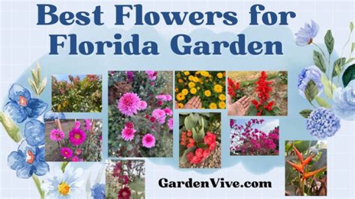 What flowers grow in Ecuador?