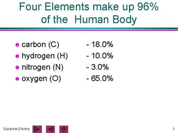 What four elements make up 96% of all living things?