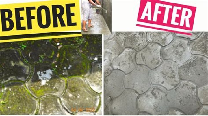 What gets rid of algae on concrete?