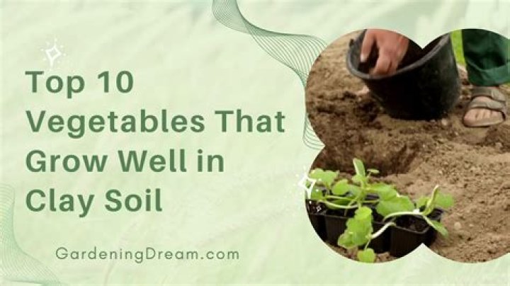 What grows well in clay soil UK?