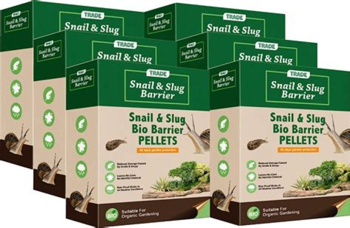 What happens if birds eat slug pellets