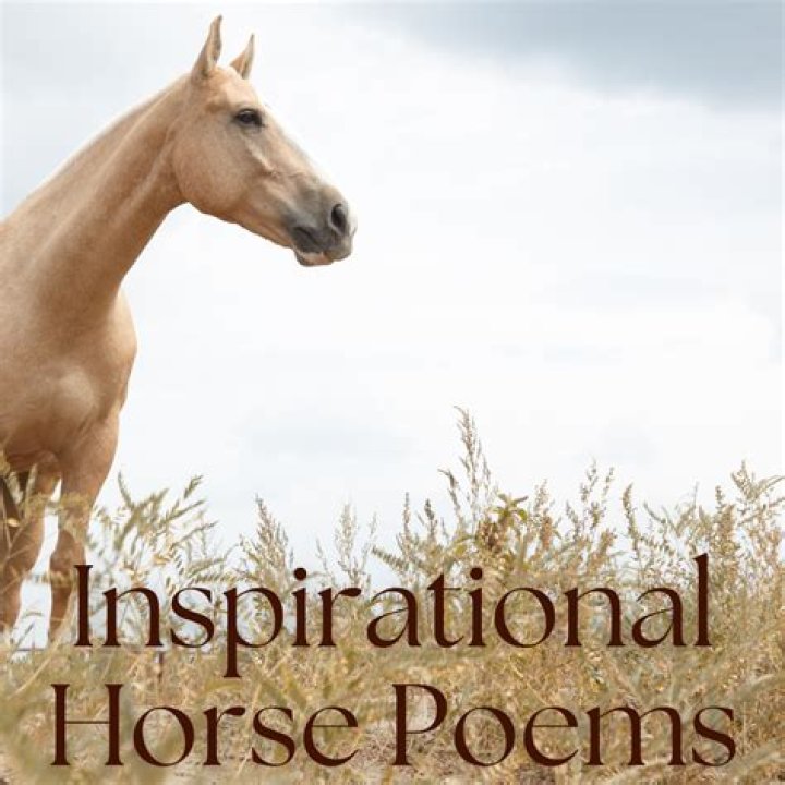 What happens if my horse is a carrier of strangles?