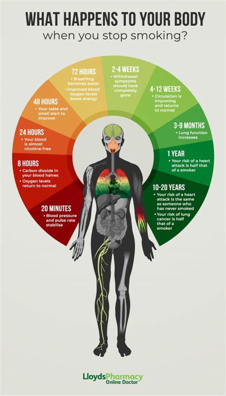 What happens to body when stop drinking?