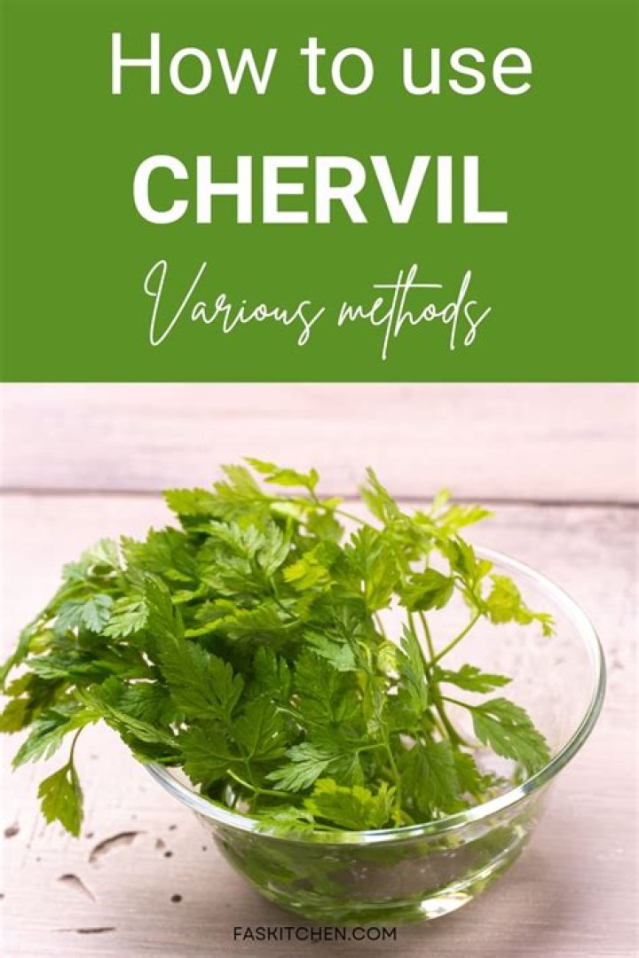 What Herb is similar to chervil?