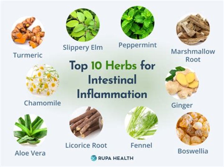What herbs cause blood thinning