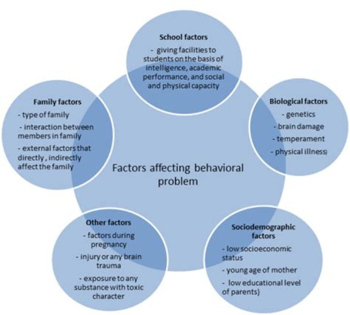 What is a behavioral problem in a child
