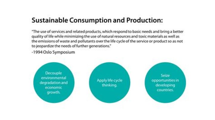 What is a consumable good?
