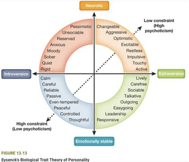 What is a high S personality?