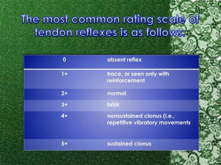 What is a normal reflex