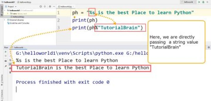 What is a placeholder in Python?