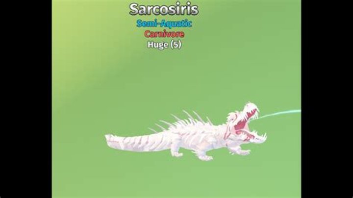 What is a Sarco? | ContextResponse.com