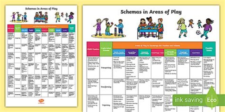 What is a schema child development?
