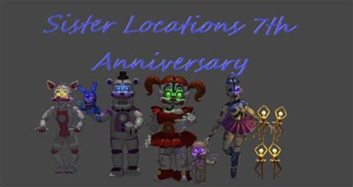 What is a sister location in business