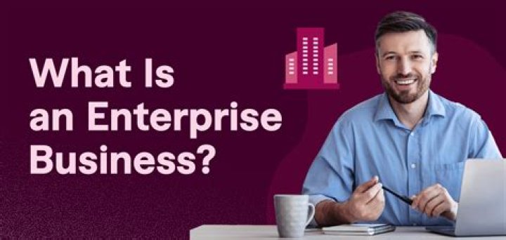 What is an enterprise in business?
