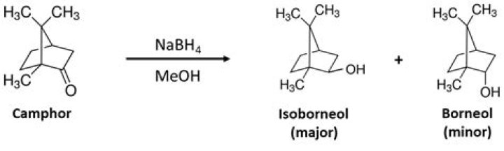 What is borneol made up of