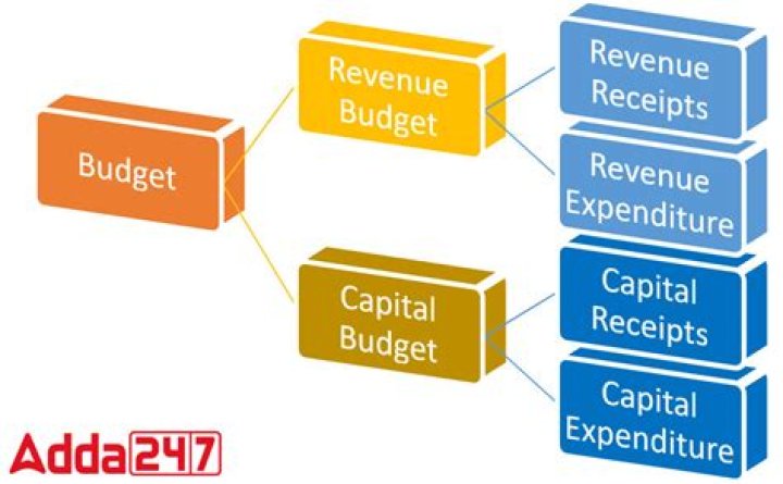 What is capital budget and revenue budget?