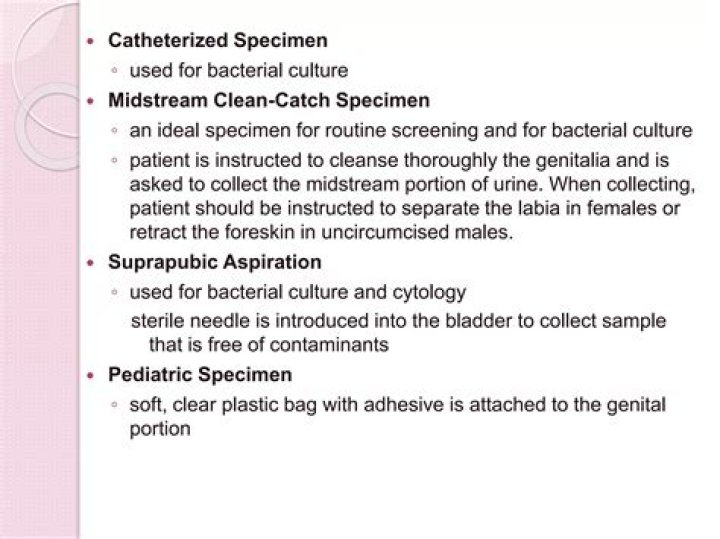 What is catheterized specimen