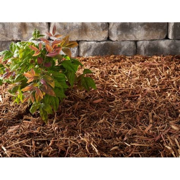 What is cedar blend mulch