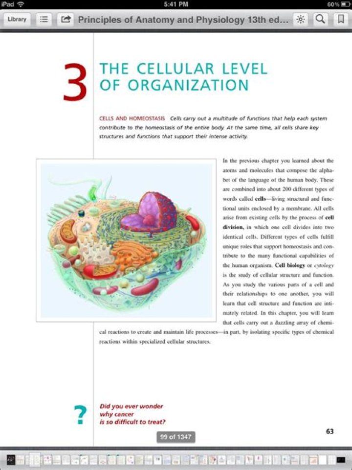 What is cellular level of Organisation?