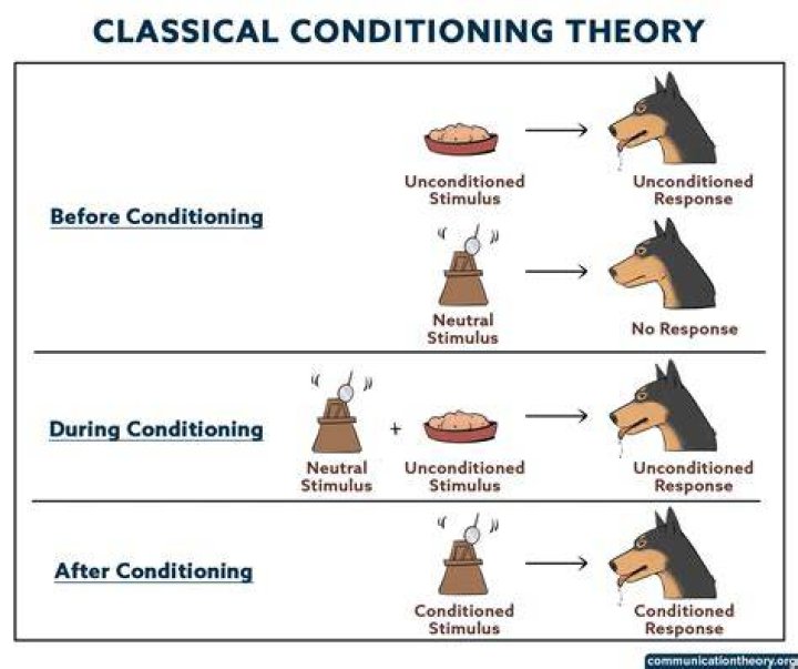 What is classical assimilation?