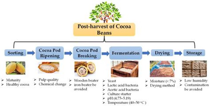 What is CocoaPods iOS