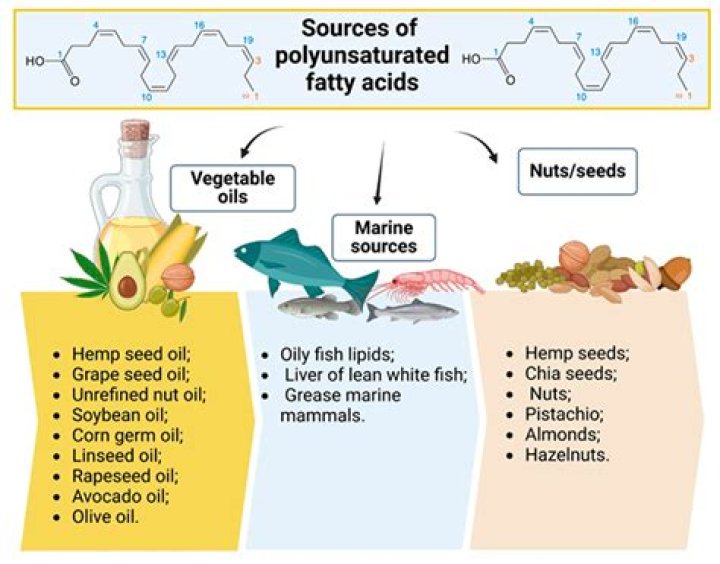 What is composed of fatty acids and phosphorus?