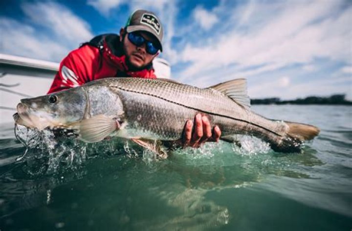 What is considered clear water