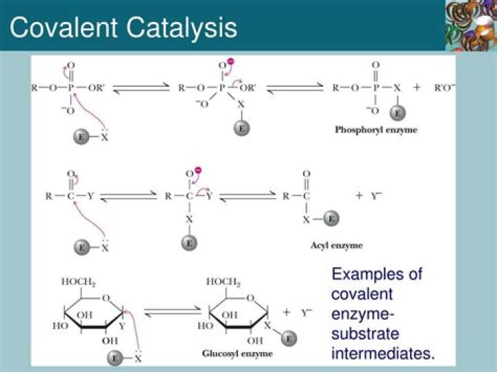What is covalent catalysis
