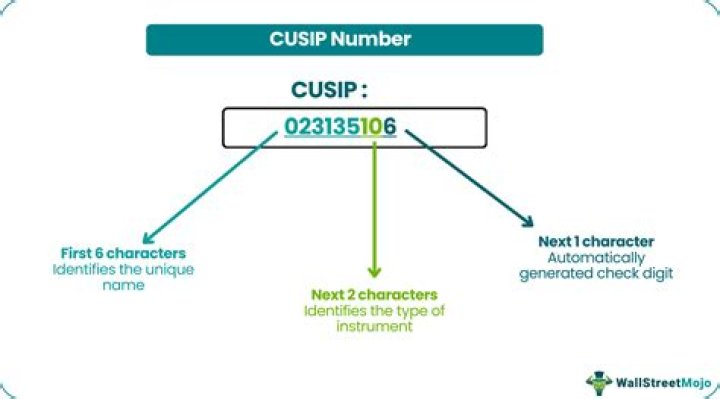 What is Cusip number mean