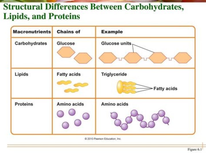 What is difference between carbohydrates and lipids?