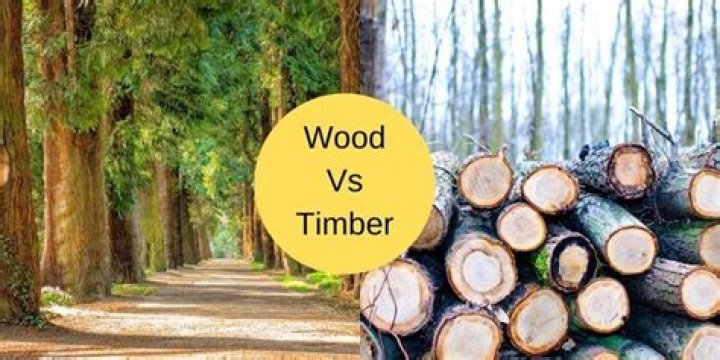 What is difference between wood and timber