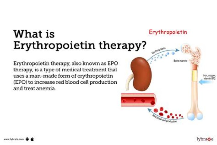 What is erythropoietin and what is its function?