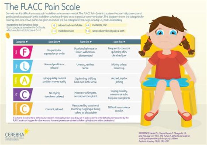What is Flacc pain scale