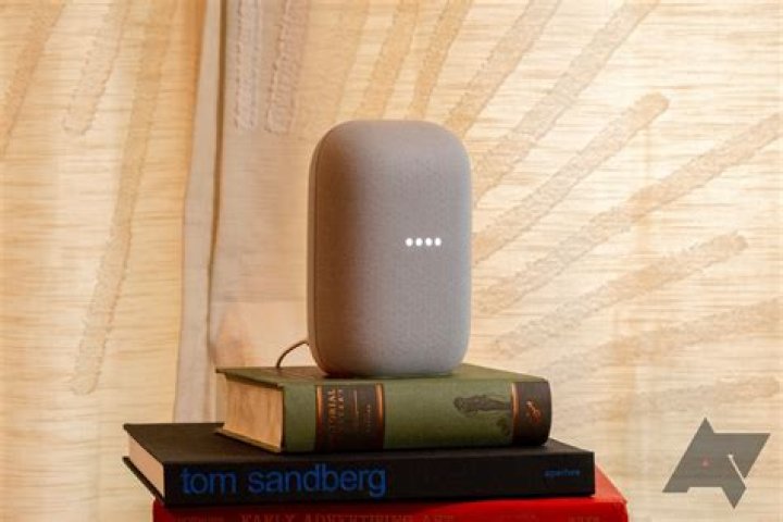 What is Google home Mini Good For?