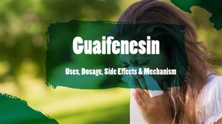 What is guaifenesin used for in horses?