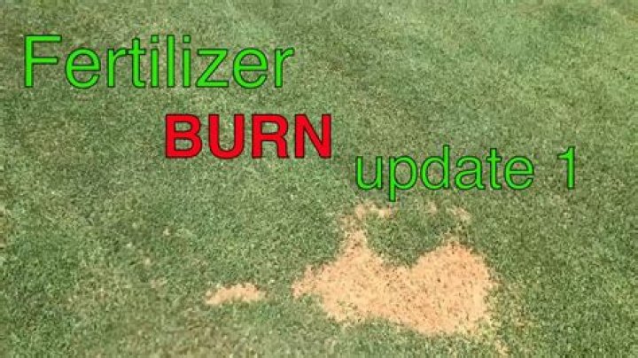 What is Herbicide burn